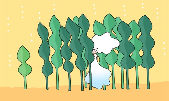 合肥排名前五的计算机学校名单