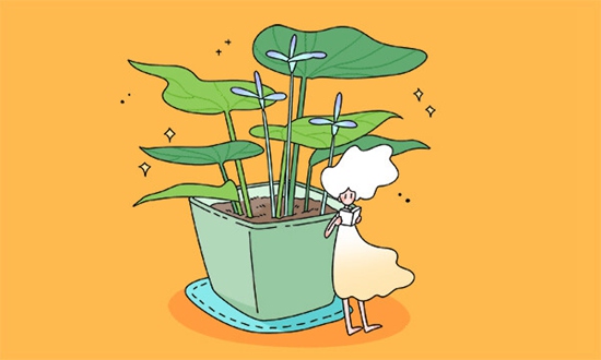 2025长春民办卫生学校有哪些 长春民办卫生学校名单一览表